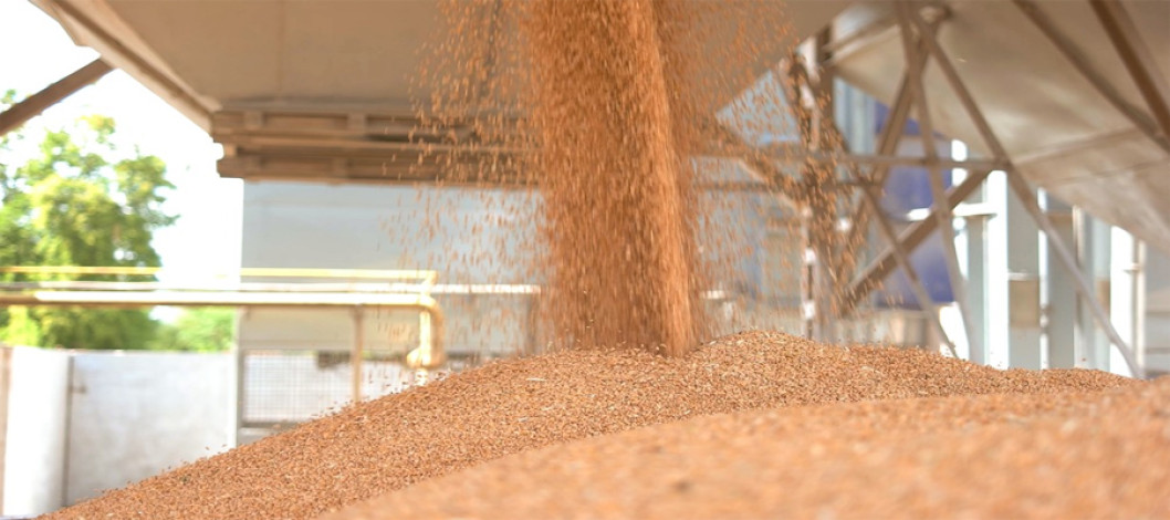 Nigeria's wheat imports edge towards record 7.2 million tonnes on rising demand